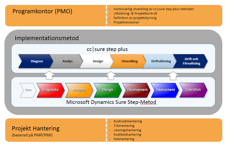 Implementation methods. Методология Microsoft Dynamics sure Step. Project Management программа. Project cost Management. Sure Step methodology.
